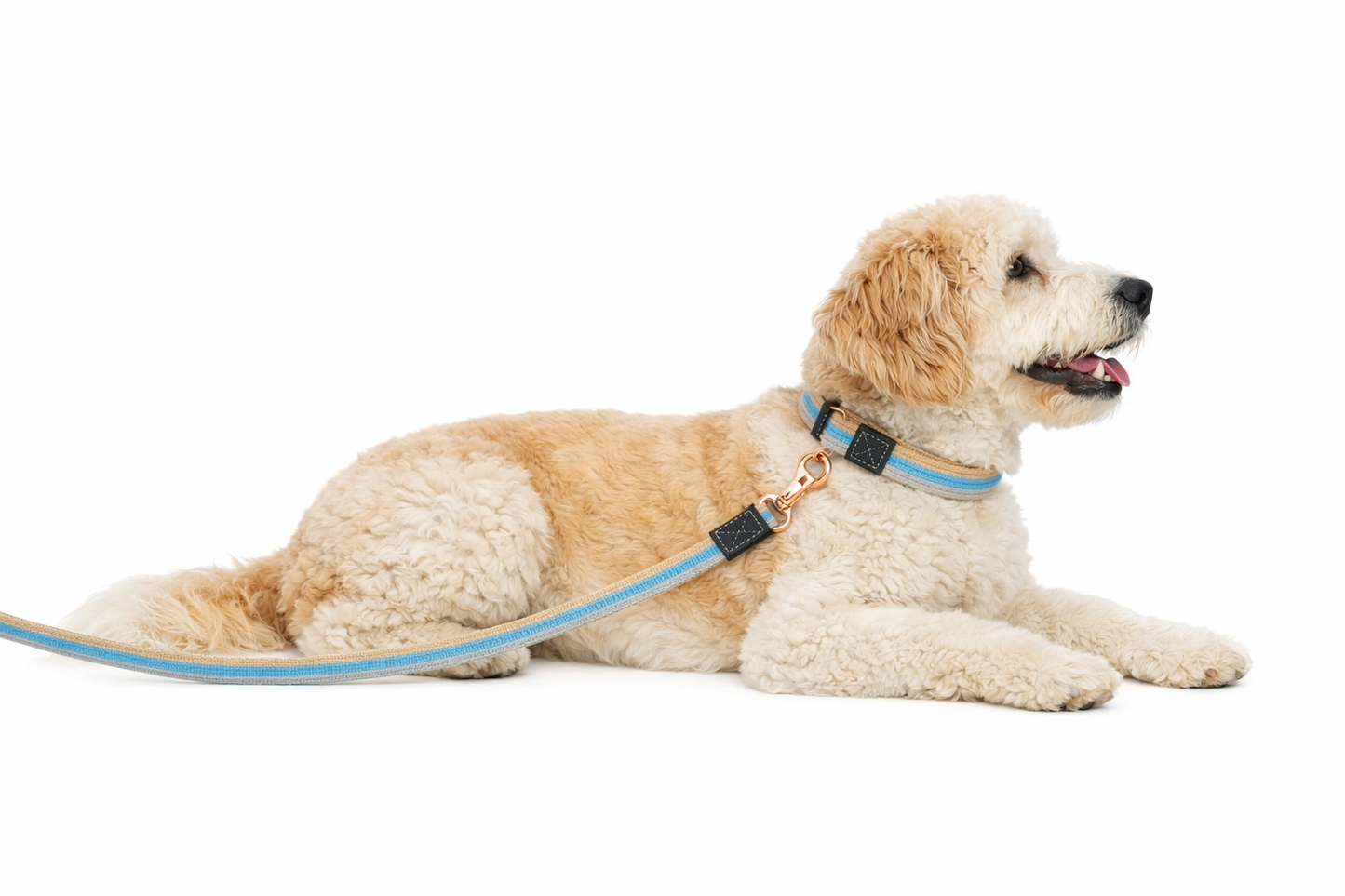UrbanPets Material Wrist Strap Detachable Dog Leash