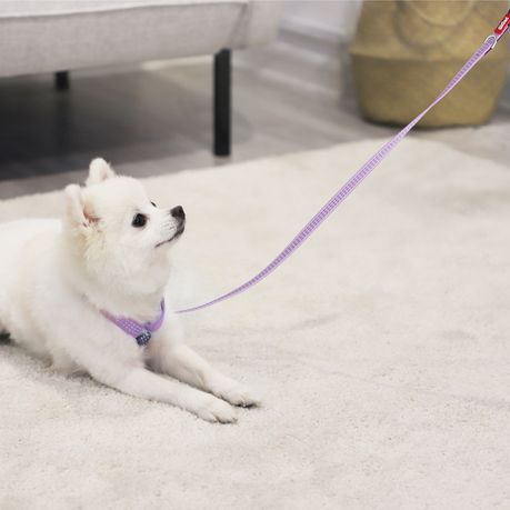 Classic Line Stylish Dog Leash