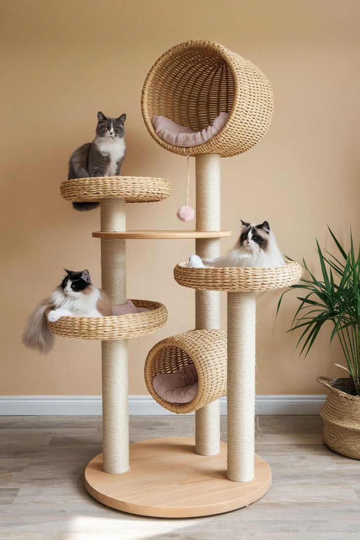 Cat Furniture & Beds