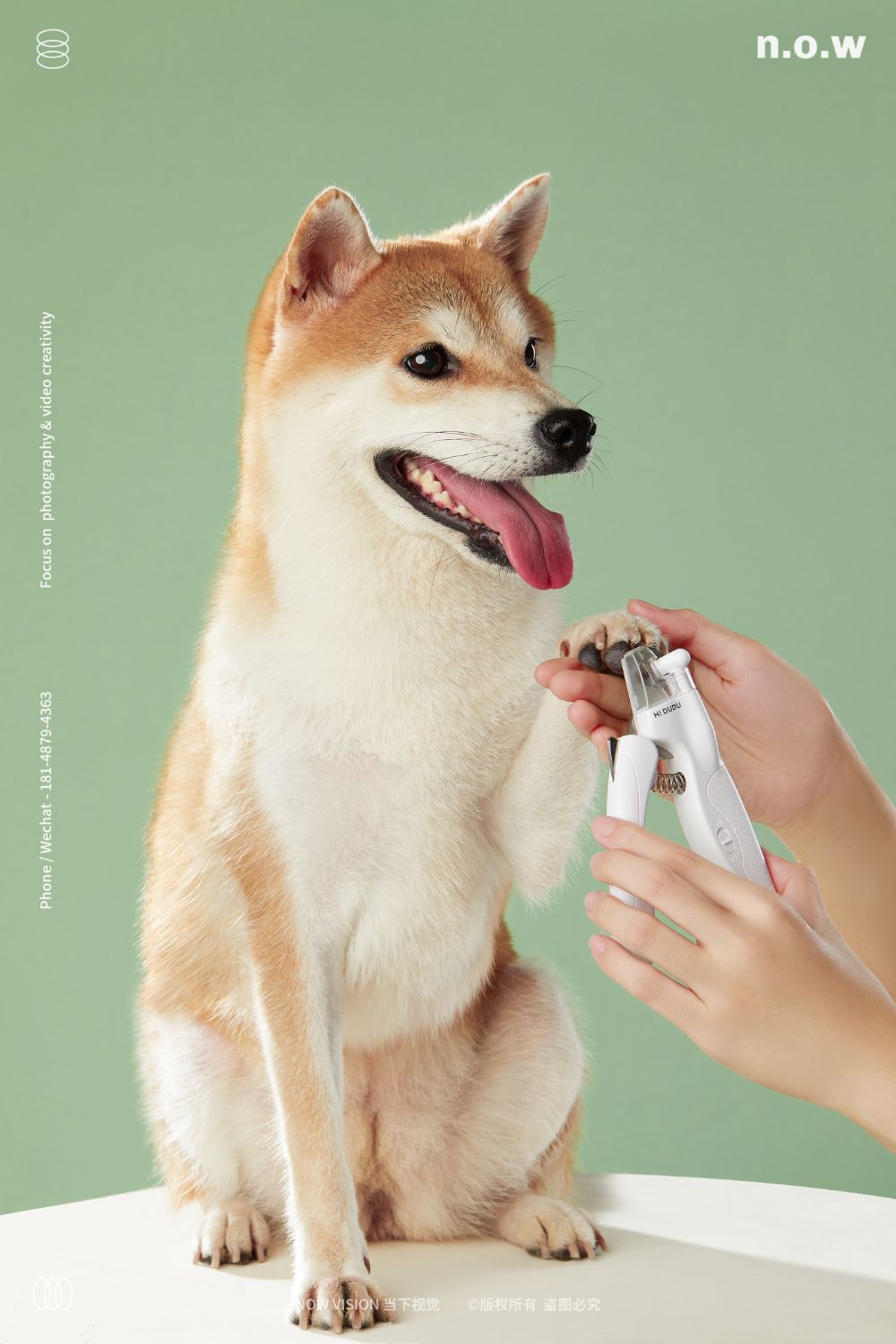 Grooming Essentials