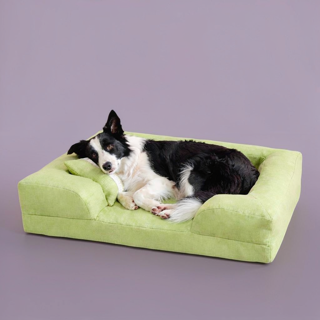 Dog Beds & Furniture