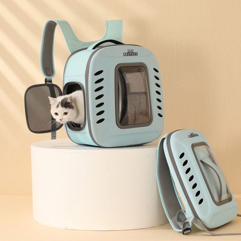 Cat Travel & Outdoor