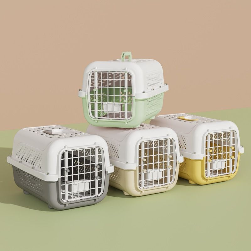 Dog Travel & Outdoor