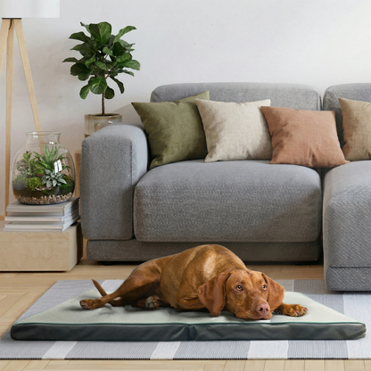 Cooling Pet Beds. Large Pet Beds with Washable Cover