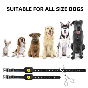 Waterproof Dog Remote Control Training Anti-Bark Collar