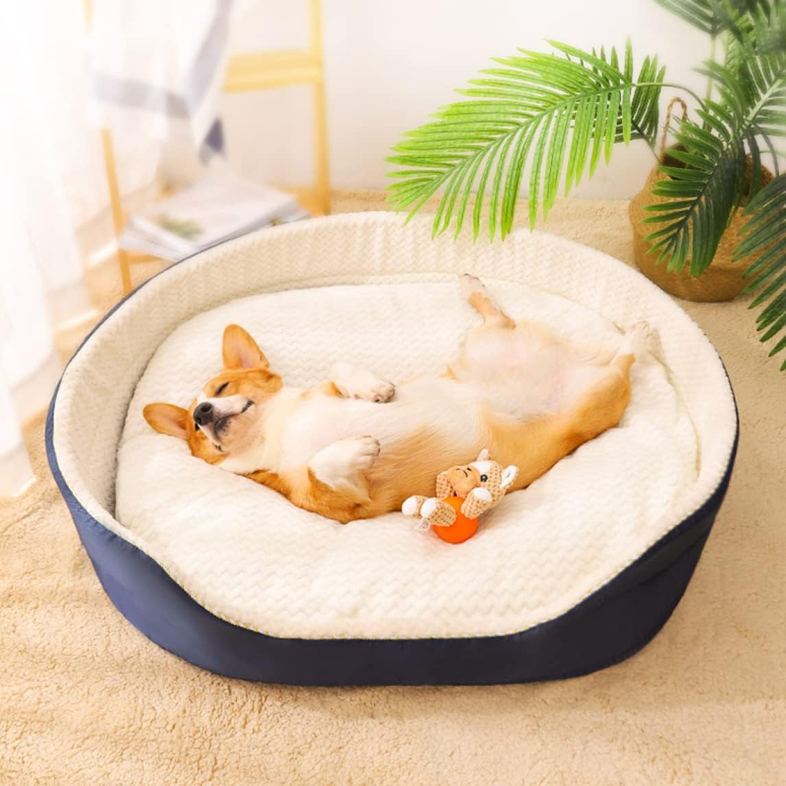 Reversible Cat Dog Pet Bed with Removable Soft Fleece Pillow