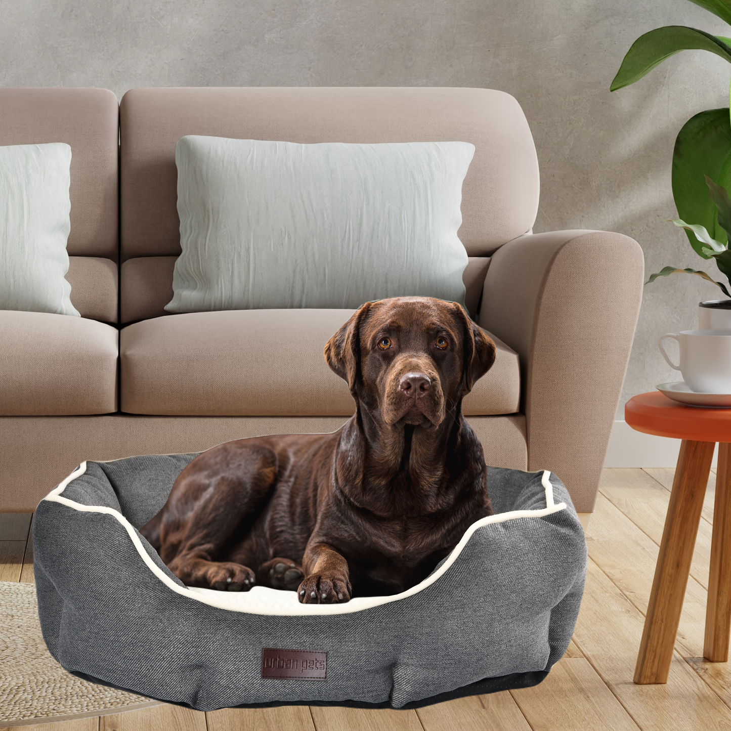 Round Washable Home Style Pet Bed Removable Pillow Cushion