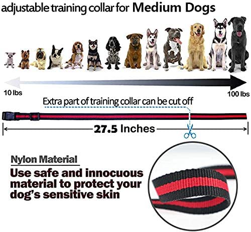 Dog Training Collar with Remote 3 Training Modes