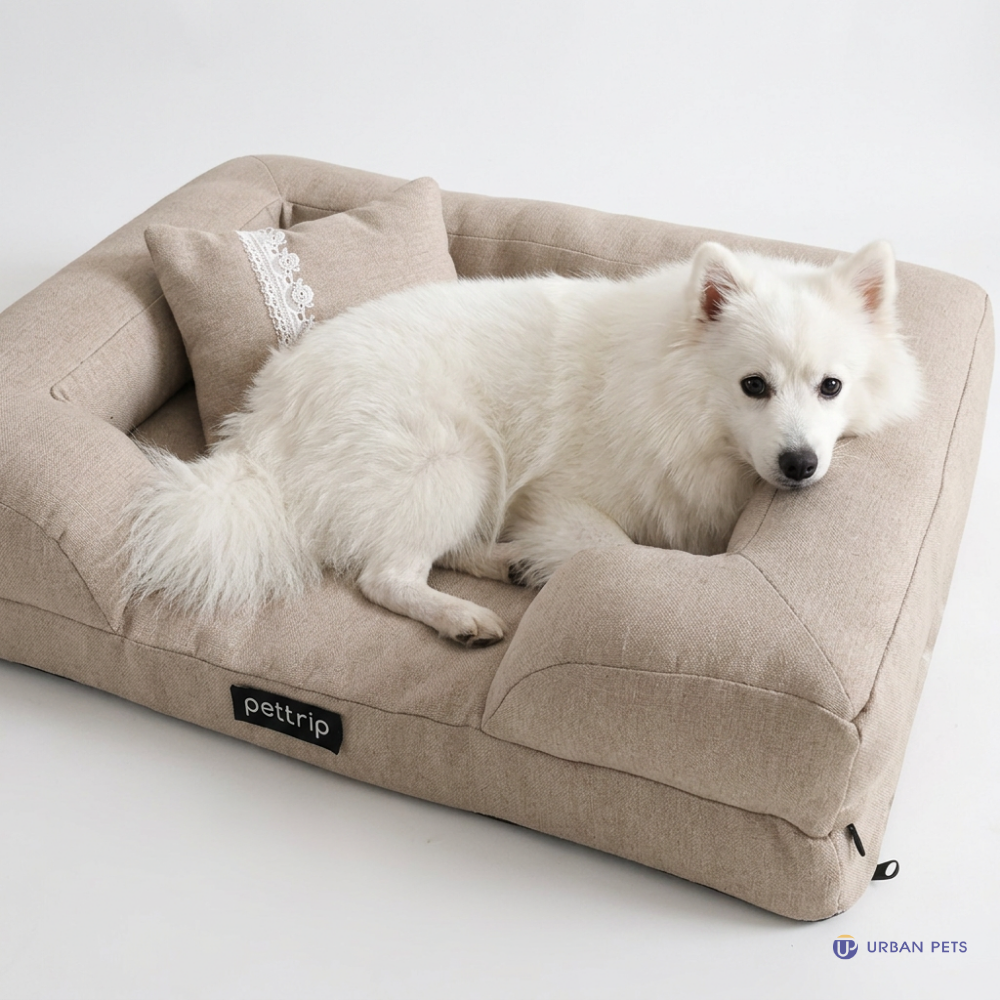 Elegant Pet Sofa Bed With Pillow Dog Cat Bed