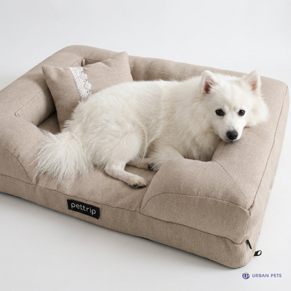 Elegant Pet Sofa Bed With Pillow Dog Cat Bed