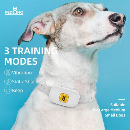 Waterproof Dog Remote Control Training Anti-Bark Collar