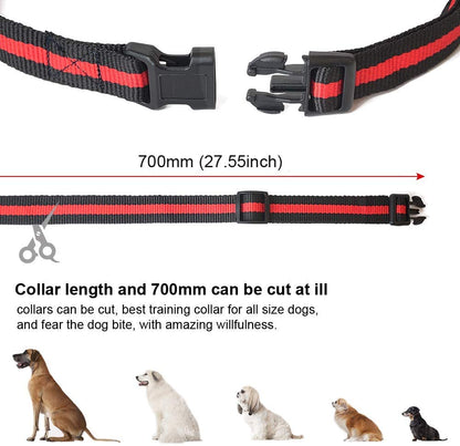 Dog Training Collar with Remote 3 Training Modes
