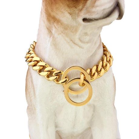 Dog Collar Plated Gold Stainless Steel Cuban Curb Link Chain