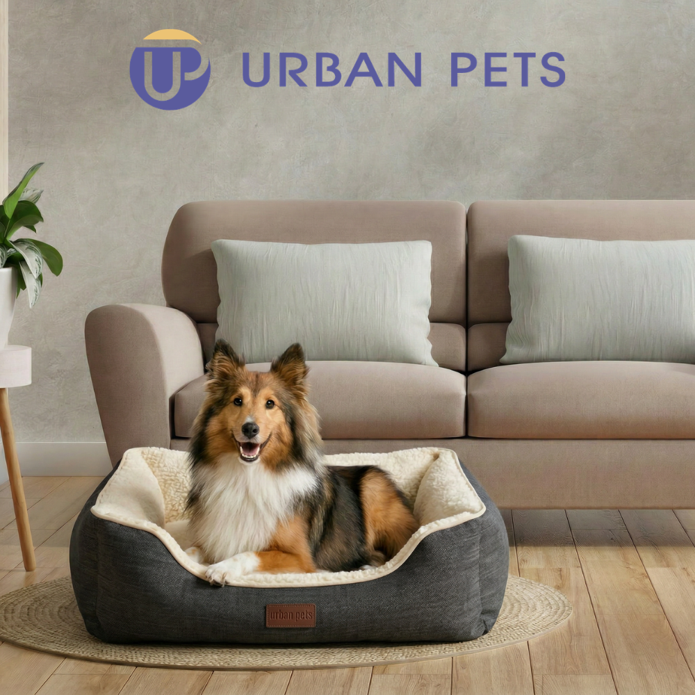 Rectangular Washable Home Style Bed for Pets