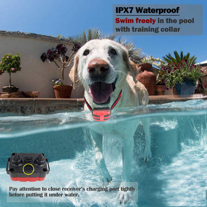 Dog Training Collar with Remote 3 Training Modes