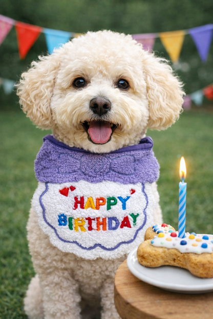 Pet Birthday Bibs