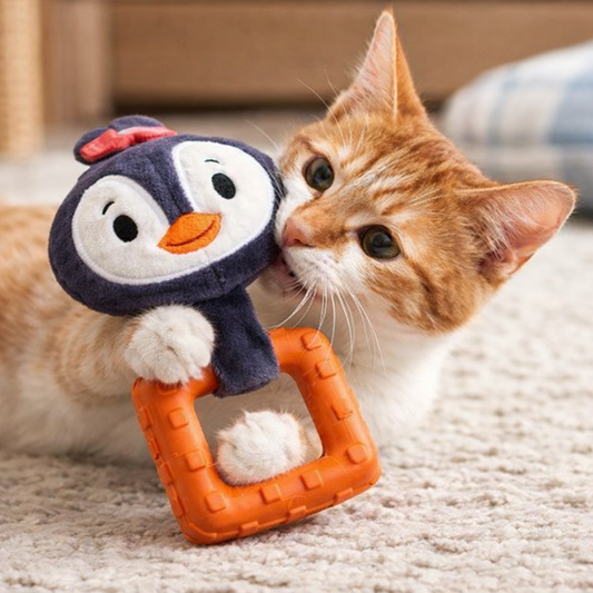 Suppa Puppa Penguin S size Squeaker Inside Plush