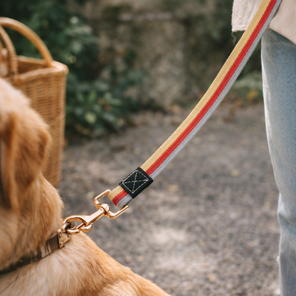 UrbanPets Material Wrist Strap Detachable Dog Leash