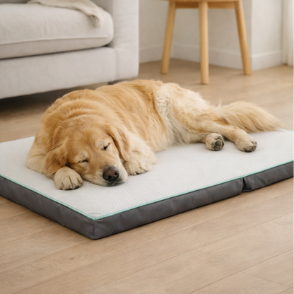 Cooling Pet Beds. Large Pet Beds with Washable Cover