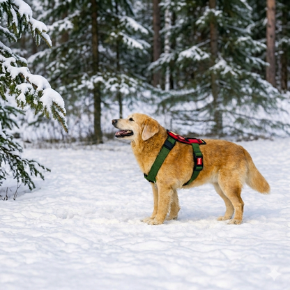 UrbanPets Reflective Adjustable Dog Harness