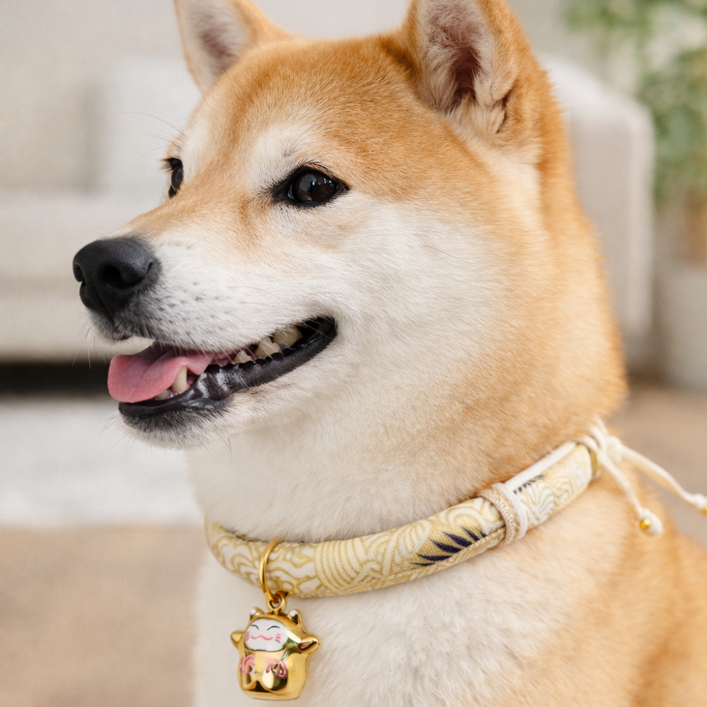 Japanese Lucky Cat Collar