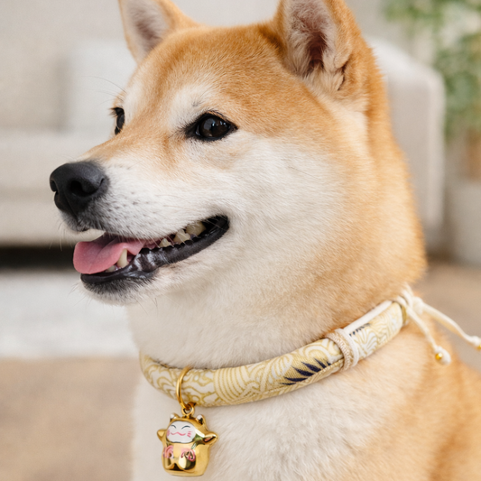 Japanese Lucky Cat Collar
