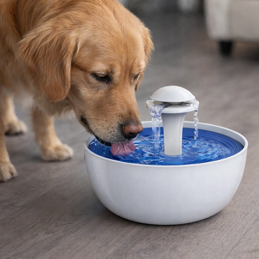 Pet Fountain Cat Water Dispenser Automatic Electric Water Bowl