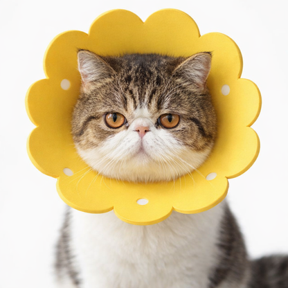 Pet Sunflower Recovery Protective Elizabethan Collar For Dog/Cat