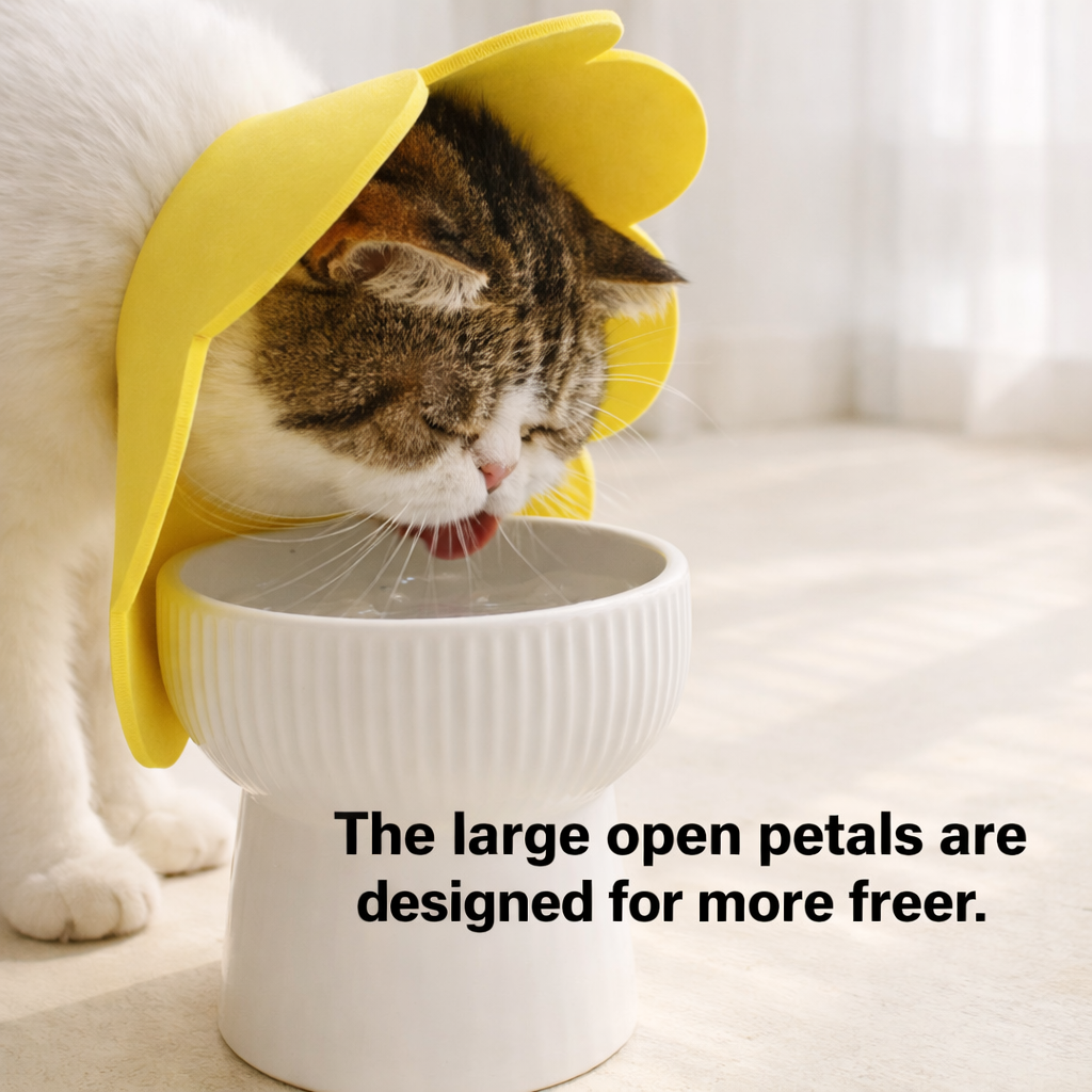 Pet Sunflower Recovery Protective Elizabethan Collar For Dog/Cat