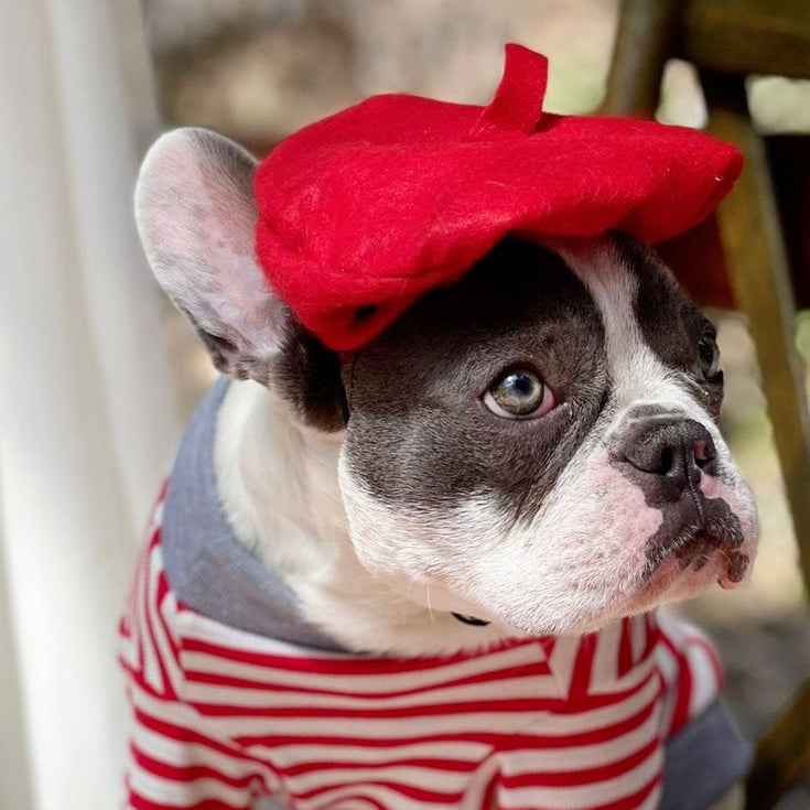 Wool Hat Beret