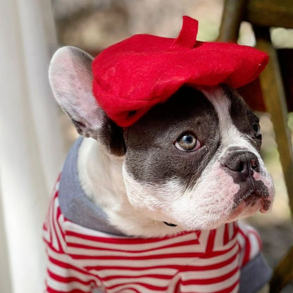 Wool Hat Beret