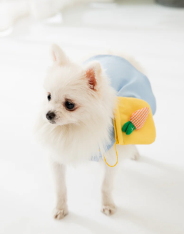 Kawaii Bear Dress for Dogs - Gray Peter Pan Collar with Yellow Bear Bag
