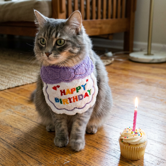 Pet Birthday Bibs