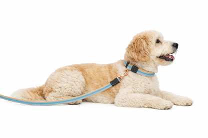 UrbanPets Material Wrist Strap Detachable Dog Leash