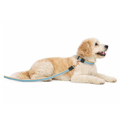 UrbanPets Material Wrist Strap Detachable Dog Leash
