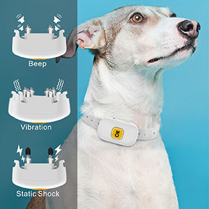 Waterproof Dog Remote Control Training Anti-Bark Collar