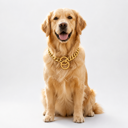 Dog Collar Plated Gold Stainless Steel Cuban Curb Link Chain