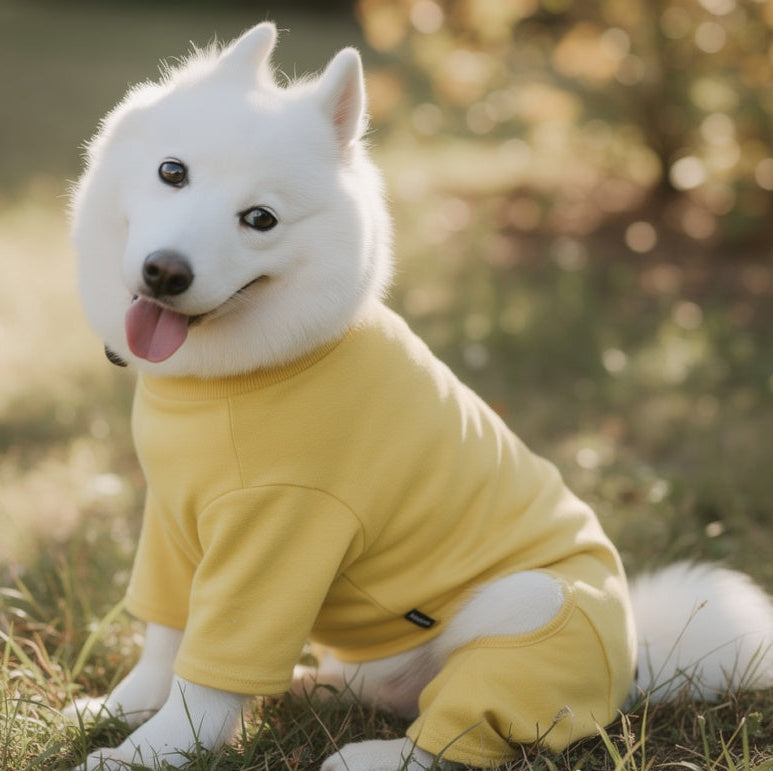 Pet Jumpsuit