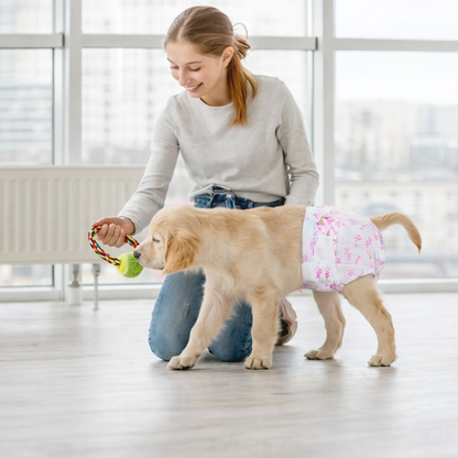Disposable Female Dog Diapers - 10 Pieces