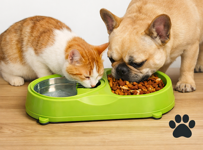 Double Dog Cat Bowls, Feeder with Automatic Water Bottle