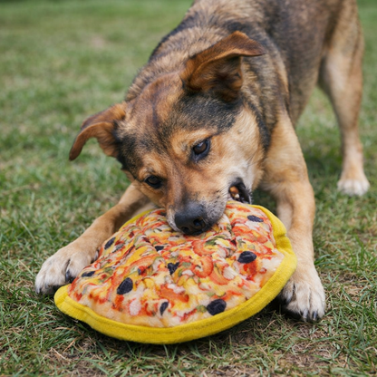 Plush Dog Toys - Pizza with Squeaker