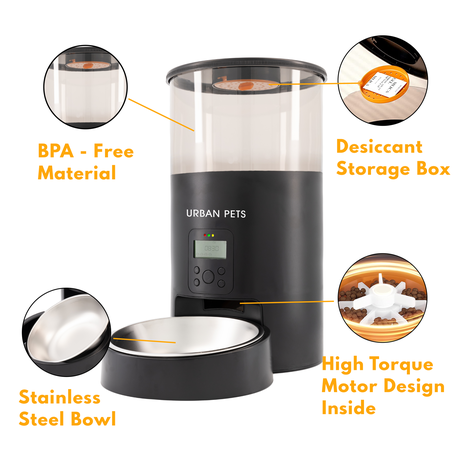 Automatic Cat Feeder 6L Easy to Clean Timed Pet Food Dispenser