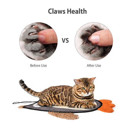 Interactive Cat Toy Owl Scratcher with Sisal Belly and Catnip