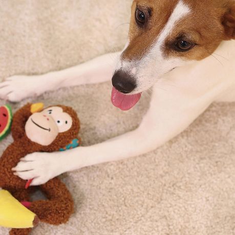 Plush Friendz Crinkly Monkey for Cats and Dogs Chew Toy