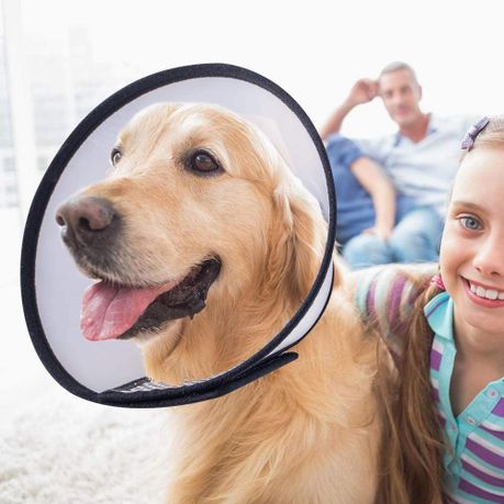 Dog Cone Recovery Collar, Adjustable Protective Collars for Pet Dog & Cat - Transparent