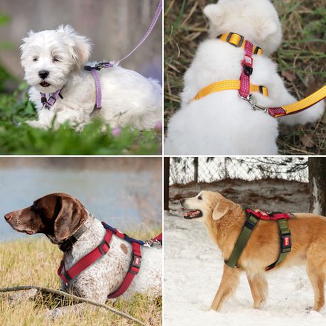 UrbanPets Reflective Adjustable Dog Harness