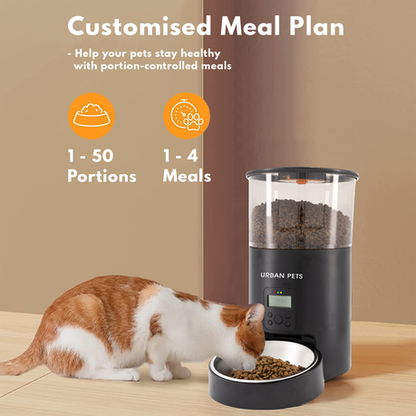 Automatic Cat Feeder 6L Easy to Clean Timed Pet Food Dispenser