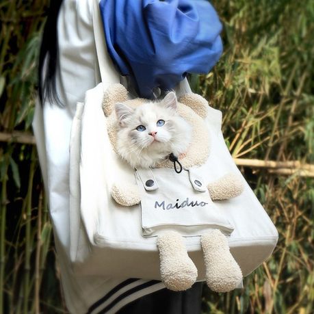 Teddy Bear Tote Carry Bag Small Cat Dog Breathable Canvas