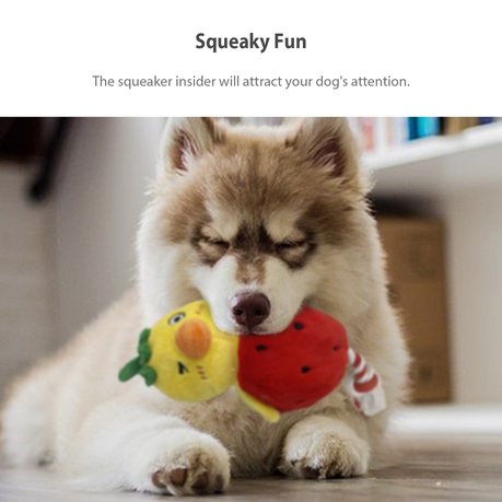 Plush Squeaky Dog Toy Chick-foodie ord with Squeaker