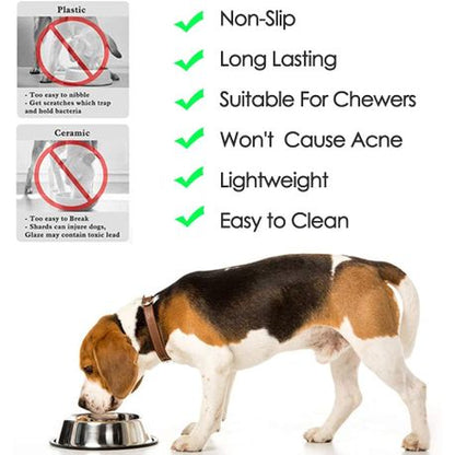 Stainless Steel Dog Bowl with Rubber Base Cat Pet Bowl